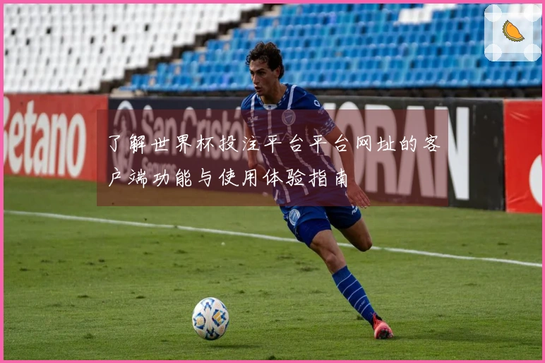 了解世界杯投注平台平台网址的客户端功能与使用体验指南