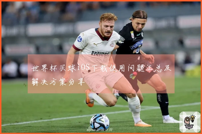 世界杯买球iOS下载使用问题汇总及解决方案分享
