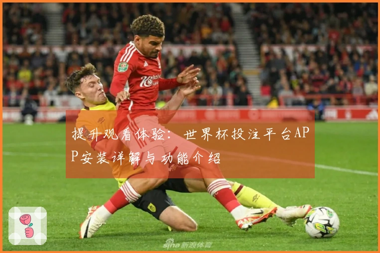 提升观看体验：世界杯投注平台APP安装详解与功能介绍