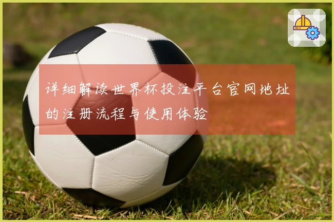 详细解读世界杯投注平台官网地址的注册流程与使用体验