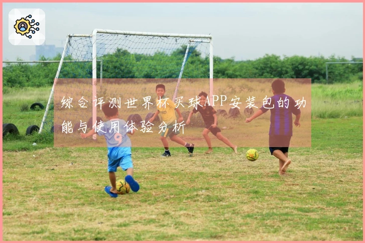 综合评测世界杯买球APP安装包的功能与使用体验分析