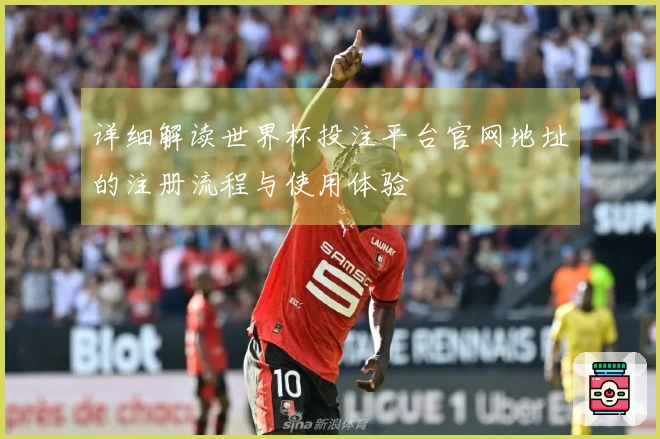 详细解读世界杯投注平台官网地址的注册流程与使用体验