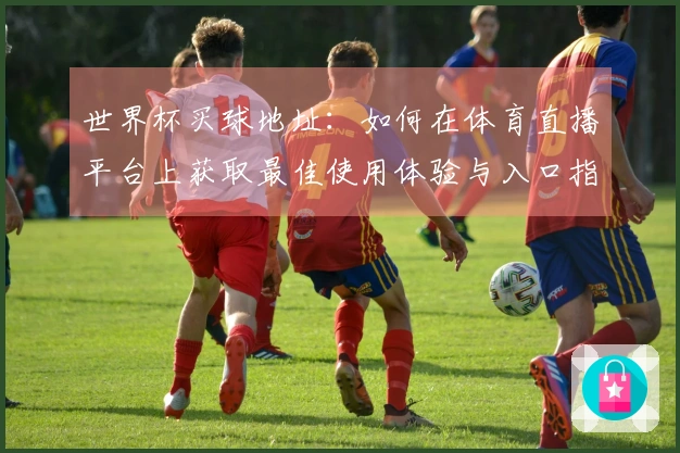 世界杯买球地址：如何在体育直播平台上获取最佳使用体验与入口指引