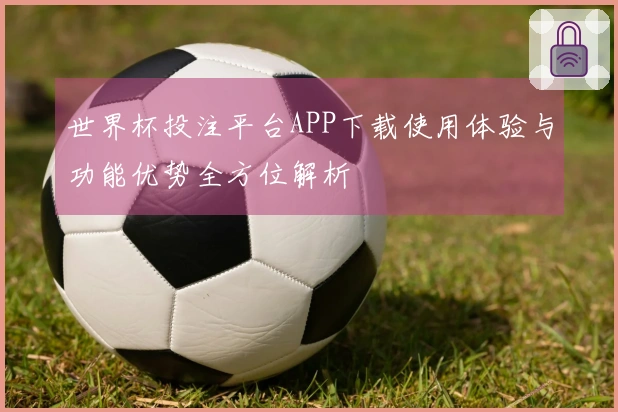 世界杯投注平台APP下载使用体验与功能优势全方位解析