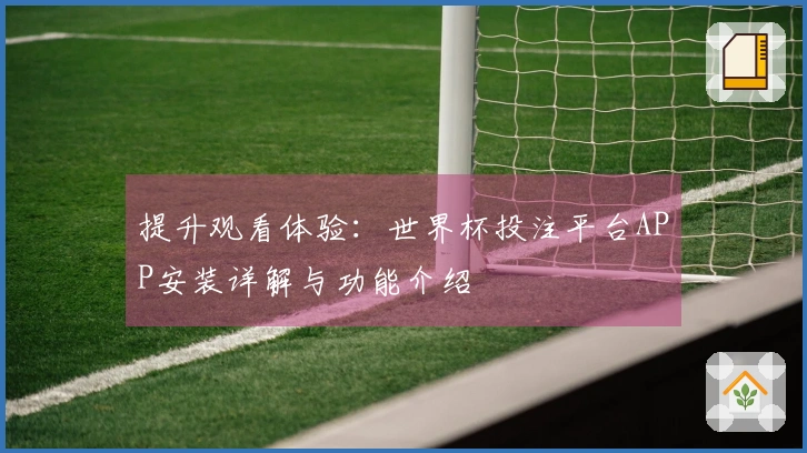 提升观看体验：世界杯投注平台APP安装详解与功能介绍