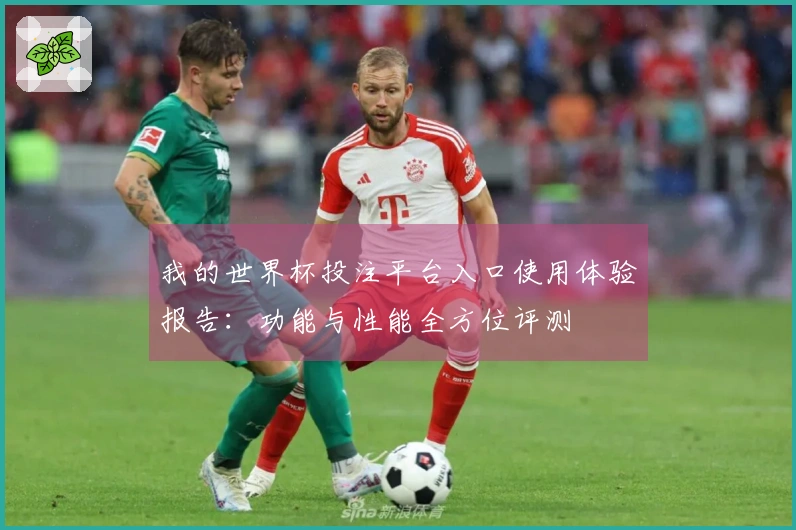 我的世界杯投注平台入口使用体验报告：功能与性能全方位评测