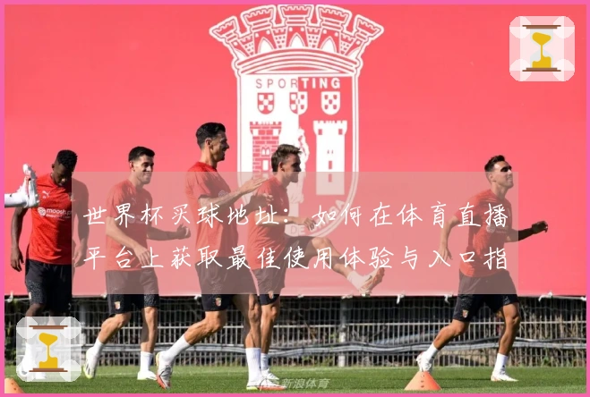 世界杯买球地址：如何在体育直播平台上获取最佳使用体验与入口指引