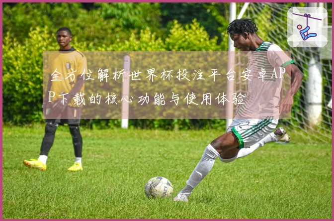 全方位解析世界杯投注平台安卓APP下载的核心功能与使用体验